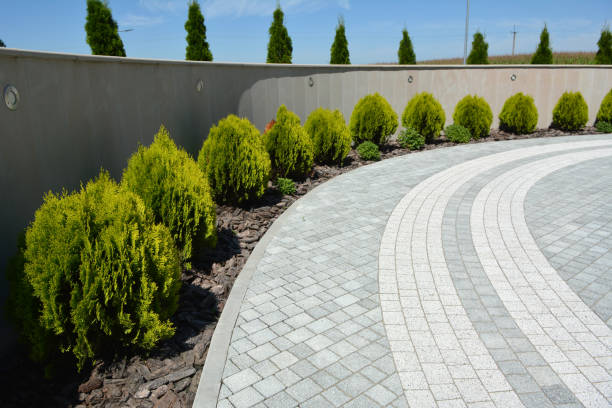  La Grange Park, IL Driveway Pavers Pros